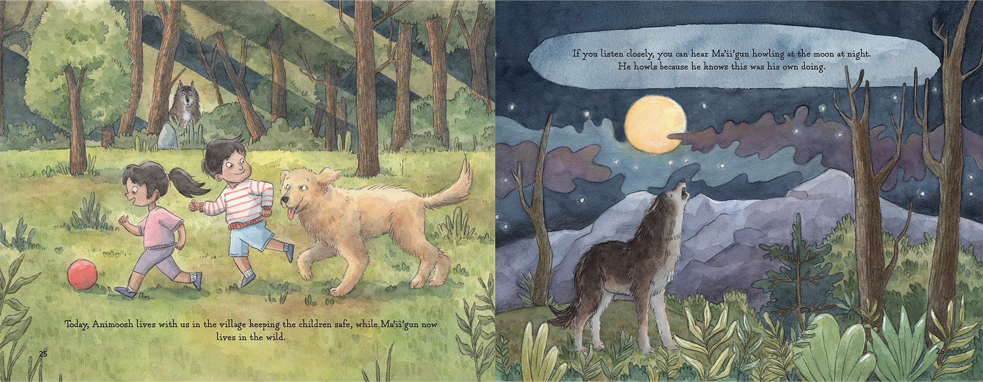 Storyteller Skye: Teachings from My Ojibway Grandfather - Image 4