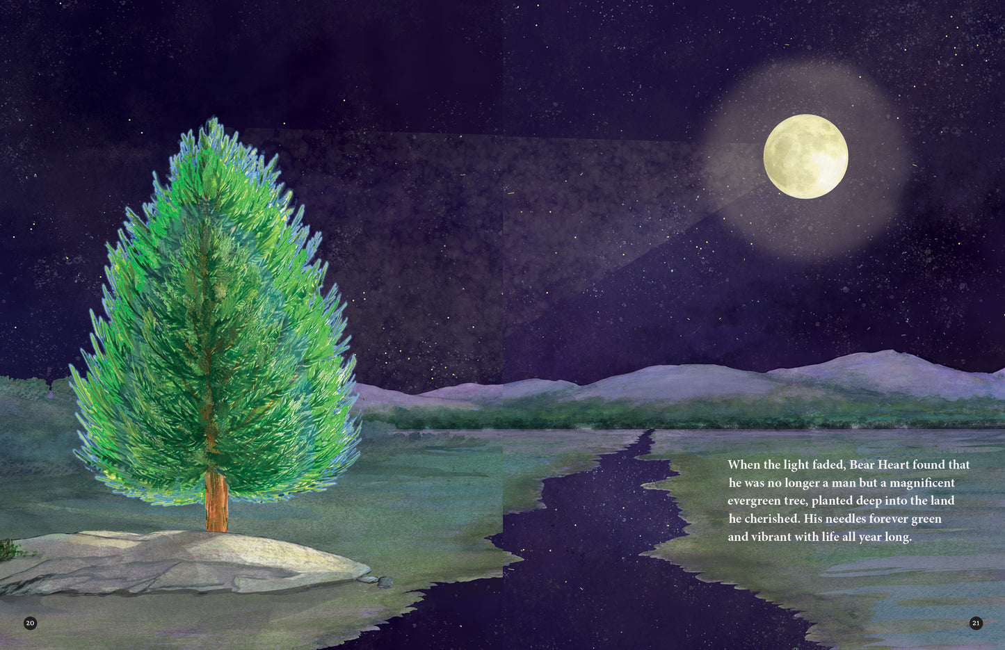 Bear Heart And The Evergreen Tree