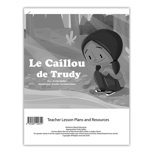 Le caillou de Trudy plan de cours