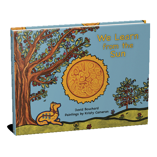 We Learn from the Sun