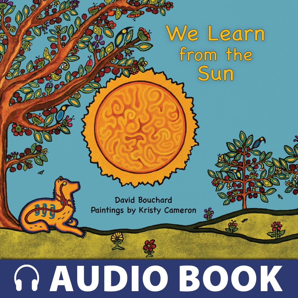 We Learn from the Sun Audiobook